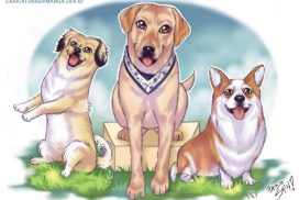 Pets